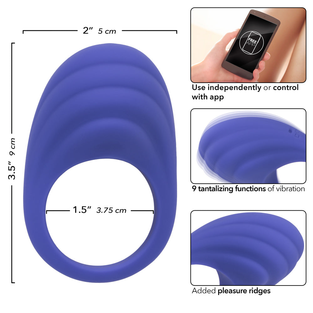 Calexotics Connect Couples Ring - Periwinkle - GreatEagleInc