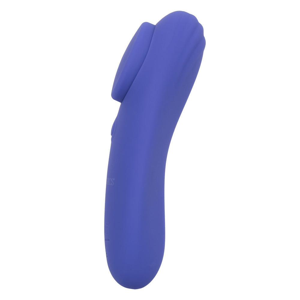 Calexotics Connect Panty Teaser - Periwinkle - GreatEagleInc