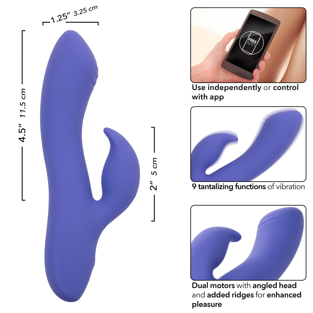 Calexotics Connect Dual Stimulator - Periwinkle - GreatEagleInc