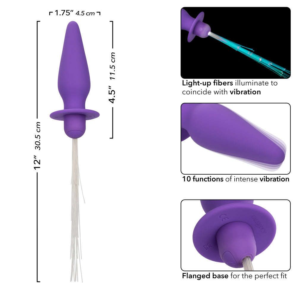 Southern Lights - Vibrating Light Up Anal Probe -  Purple - GreatEagleInc