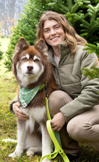 Teal pine-cone pattern dog bandana with green tie, held by woman outdoors