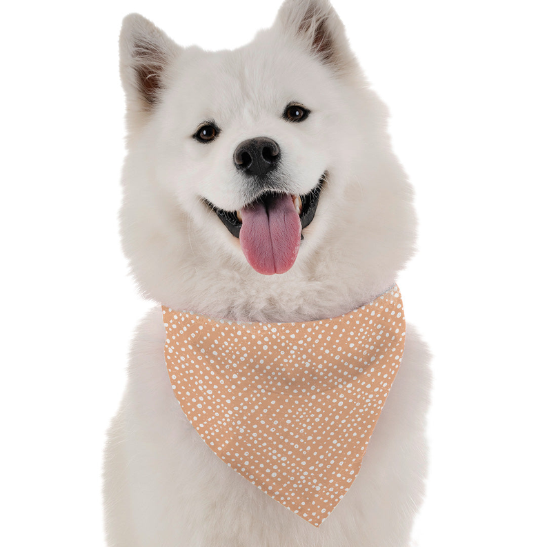 White fluffy dog with tongue out wearing orange polka-dot bandana