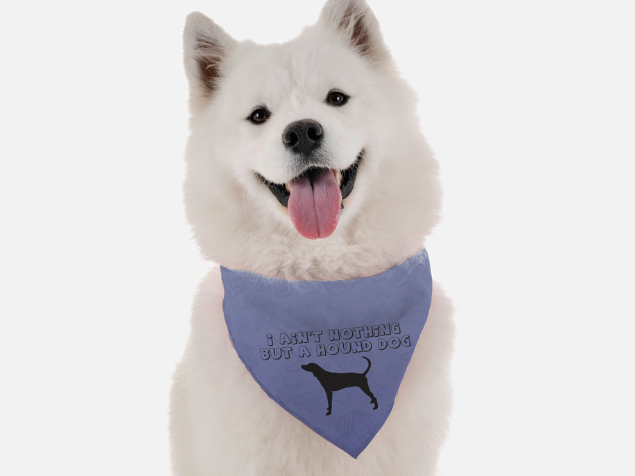 White dog wearing blue bandana with printed text and dog silhouette.