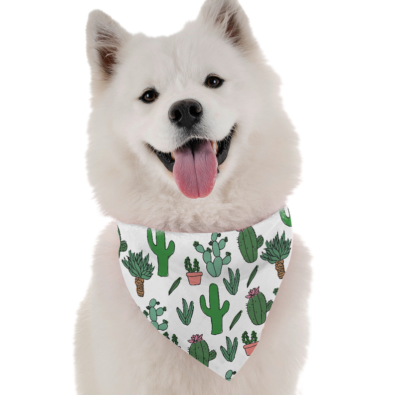 Cutsie Cactus - 1 / 22" x 22" - Pet Supplies