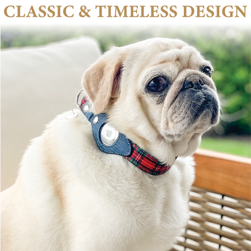 Dog wearing denim blue pet collar with red tartan trim and integrated Apple AirTag holder