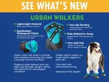 Healers Urban Walkers dog booties teal and black features graphic with dog.