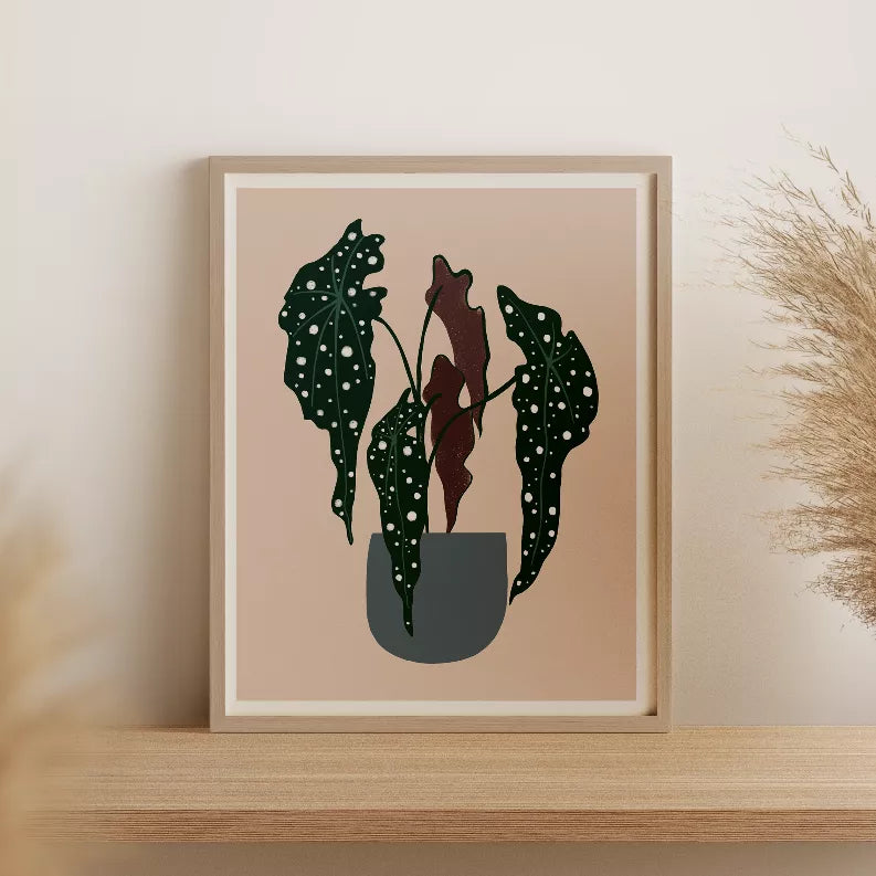 Framed polka dot begonia botanical print in light wood frame.