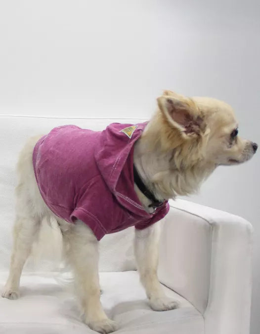 Doggy Hoodie French Terry - Pet Supplies