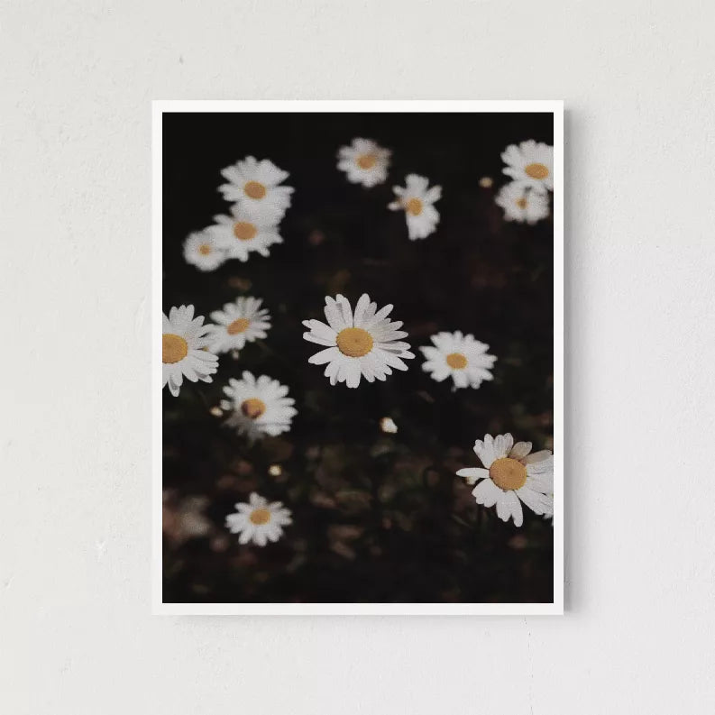 Close-up framed daisy floral print with white flowers and yellow centers