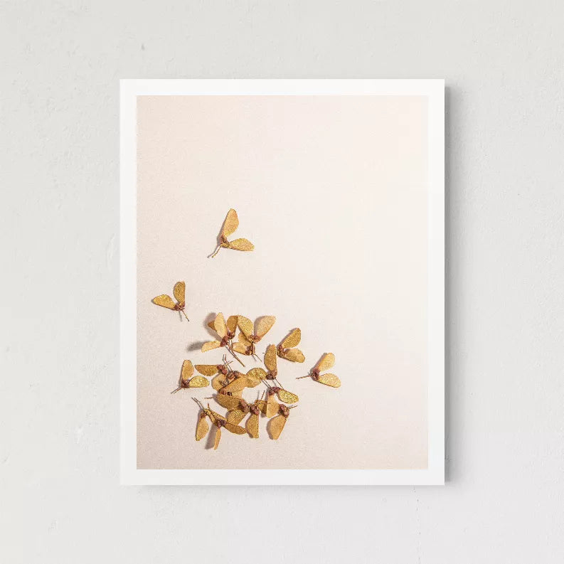 Framed butterfly wall art with gold butterflies and a small butterfly near the top