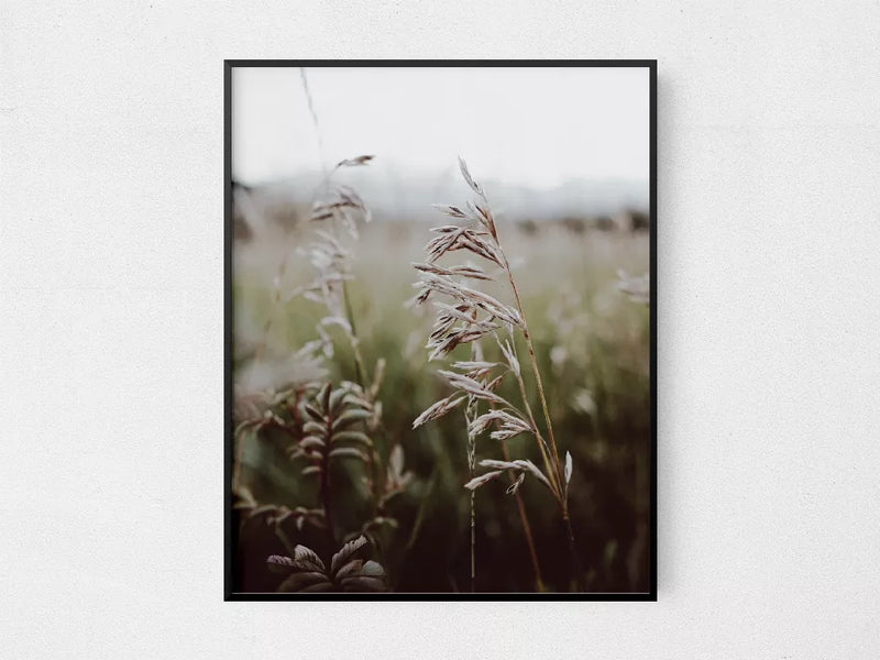 Black-framed vertical plant field photo print with soft grasses