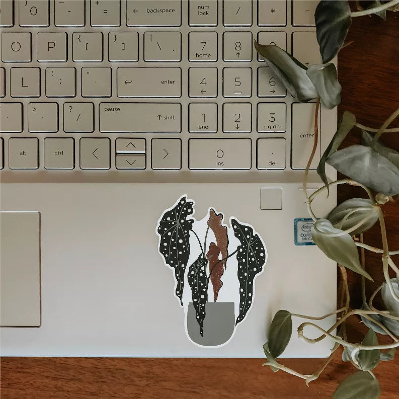 Begonia Sticker - Office Supplies