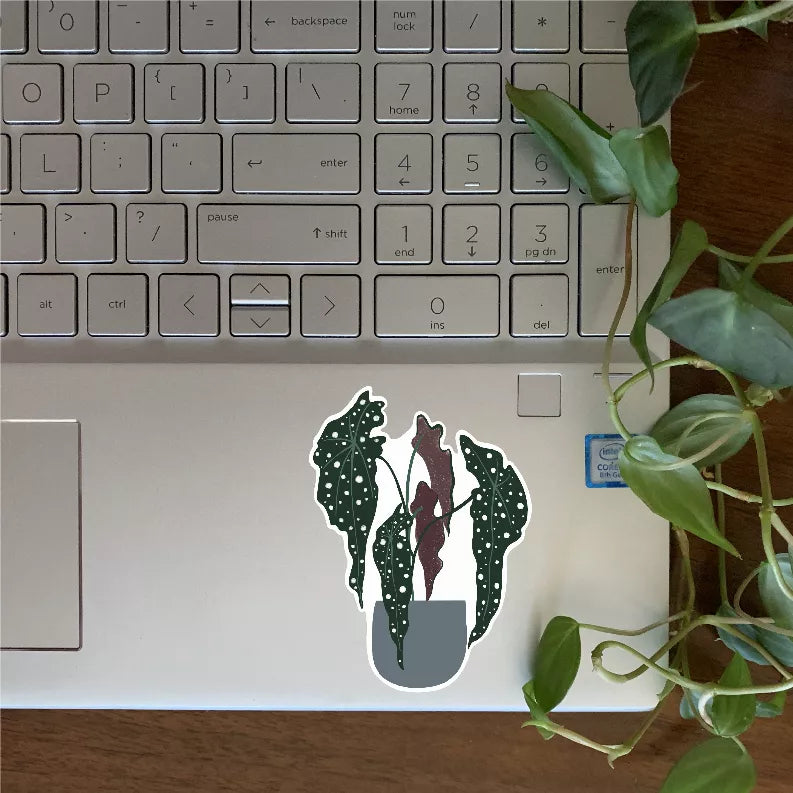 Begonia Sticker - Office Supplies