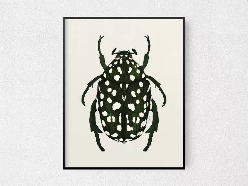Square framed beetle wall art, dark green insect with white spots and long legs