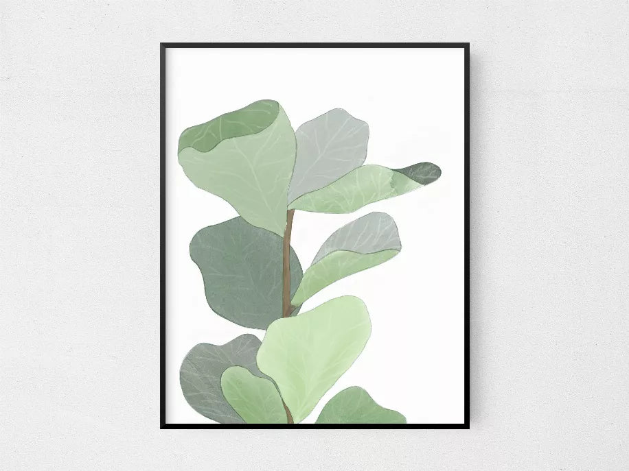 Figleaf - Home Decor