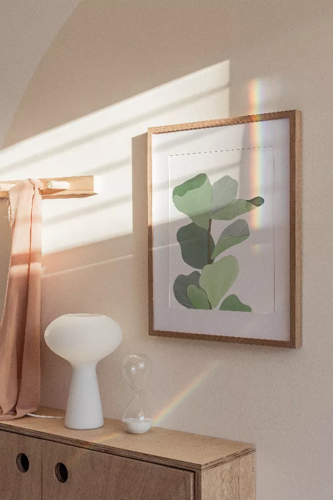 Figleaf - Home Decor