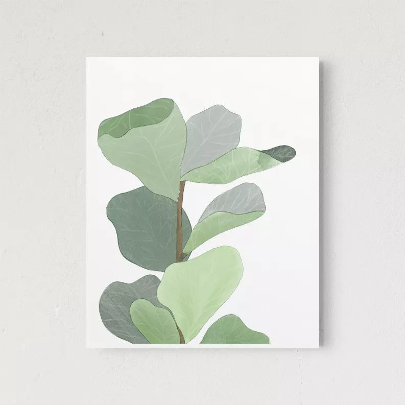 Figleaf - Home Decor