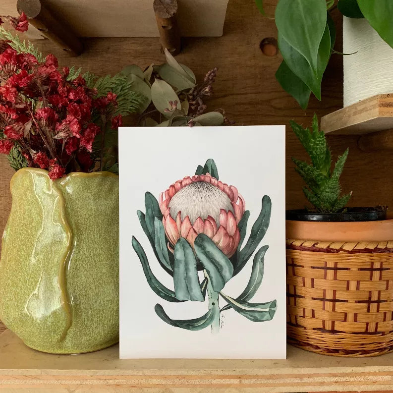 Protea flower artwork on white card, upright display with pink bloom and green leaves
