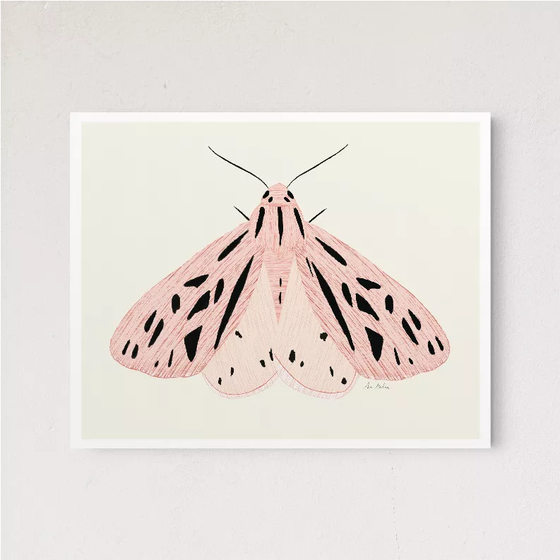 Framed pink moth illustration wall art with black-spotted wings