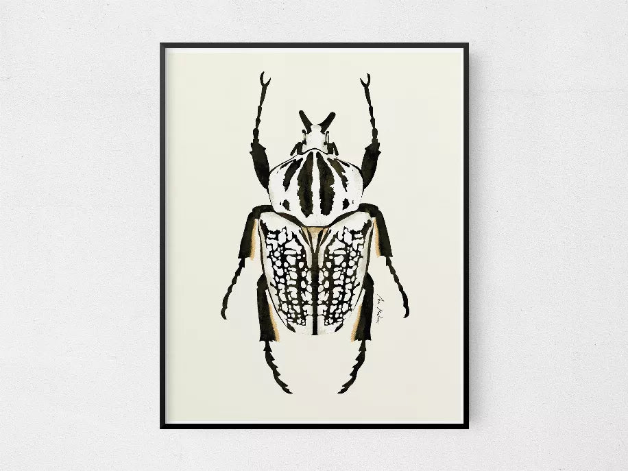 Framed black-and-white beetle illustration print, close-up view of the central insect