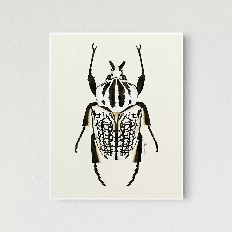 Framed black-and-white beetle illustration print