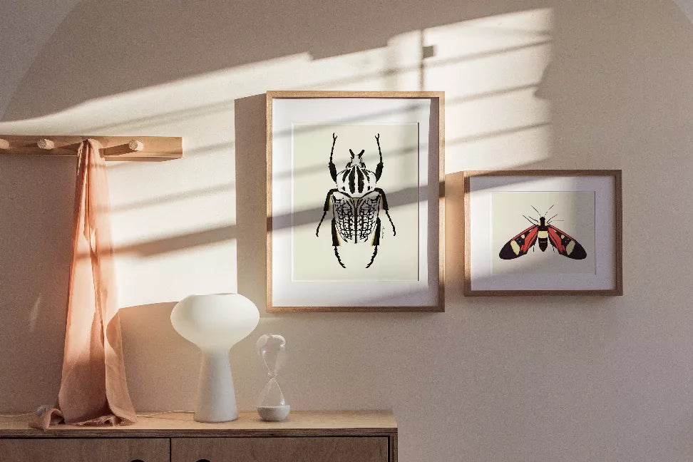 Framed black-and-white beetle illustration wall art