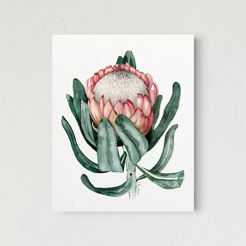 Protea flower wall art print featuring pink blooms and green leaves