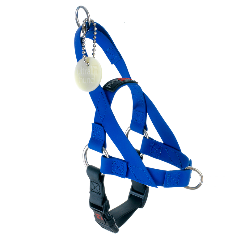 Blue Freedom dog harness with metal rings and buckles, front view