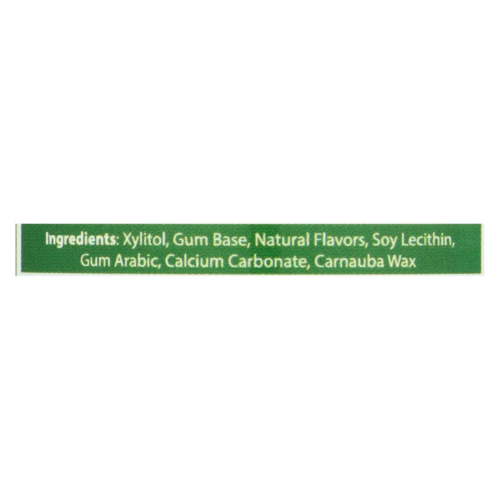 Epic Dental - Xylitol Gum - Spearmint - 50 Count - GreatEagleInc