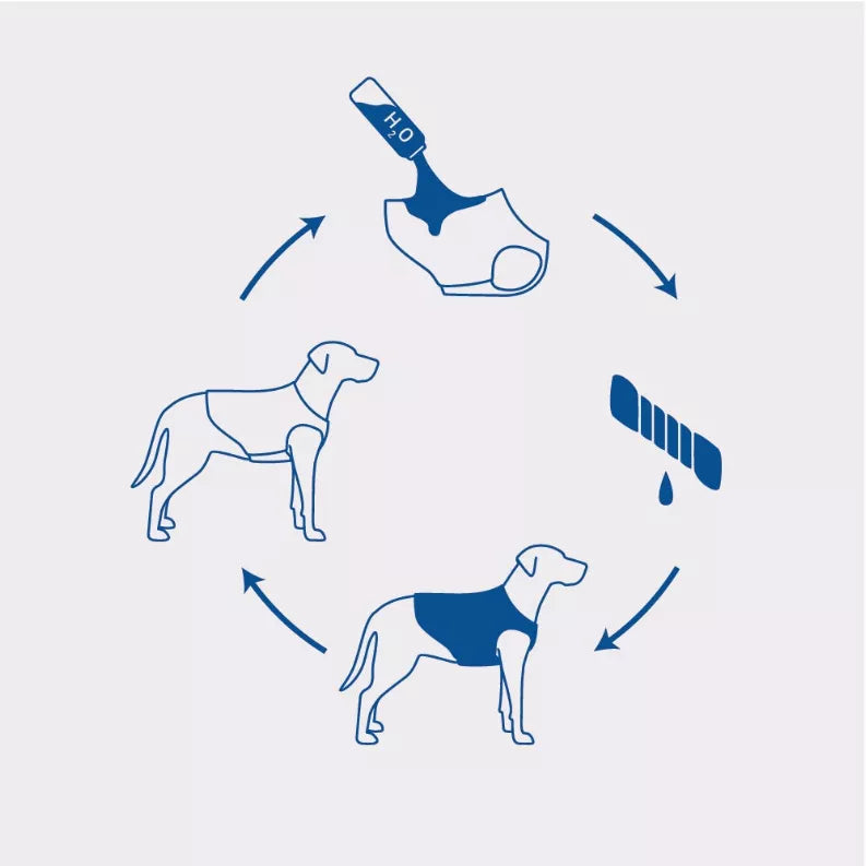 Pet cooling vest diagram showing fit on dog body and cooling effect