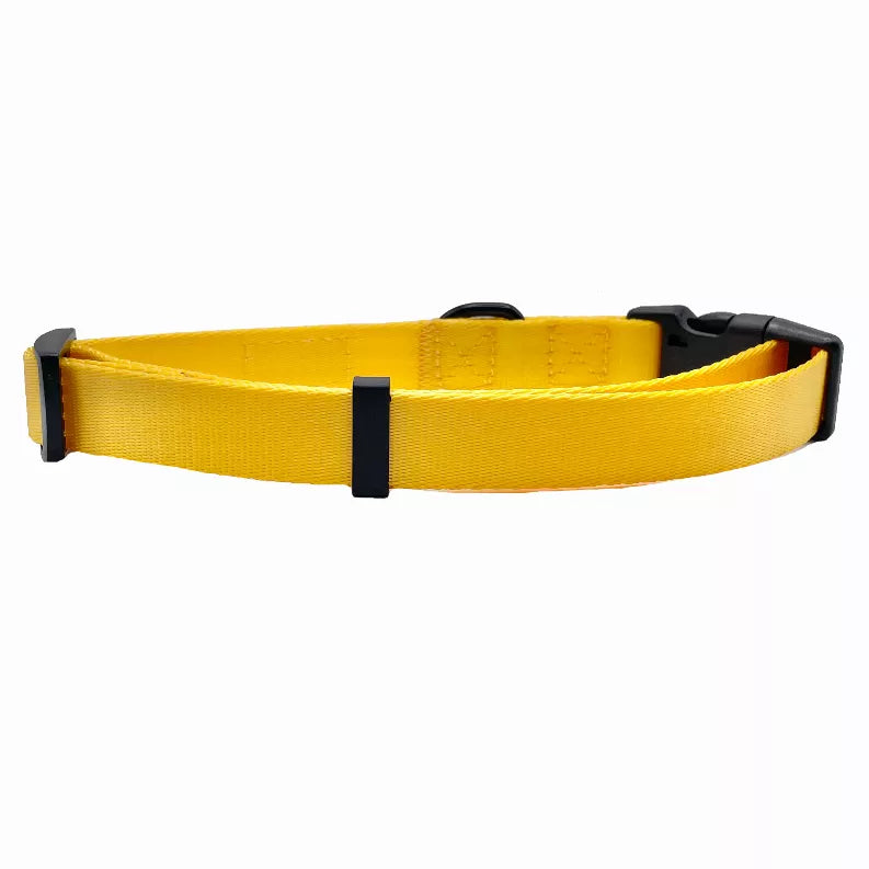 Cutie Ties Fun Design Dog Collar - Pet Supplies