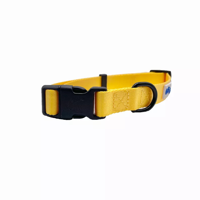 Cutie Ties Fun Design Dog Collar - Pet Supplies