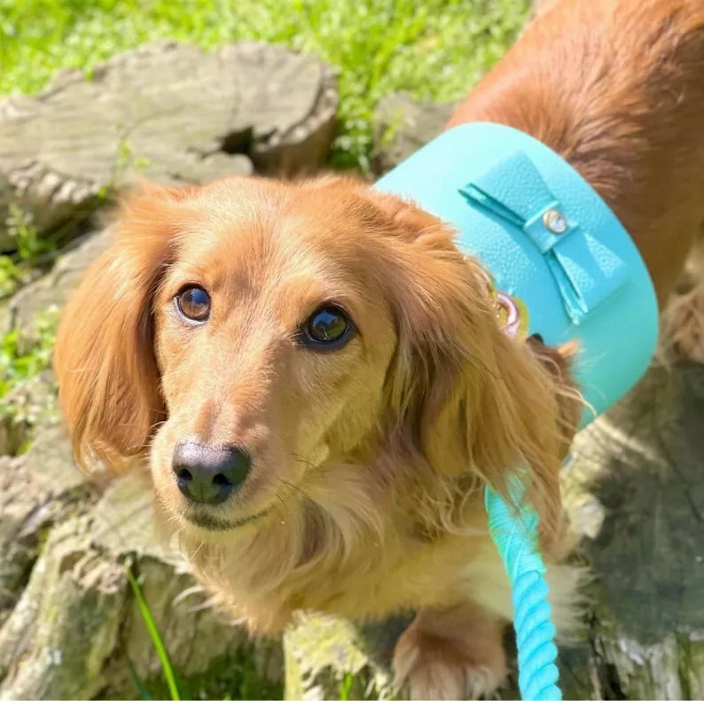 Dog Harness - Pet Supplies