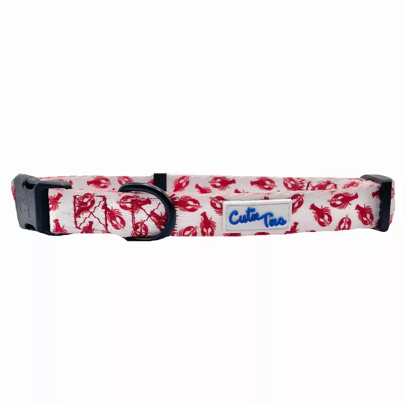 Red lobster dog collar with black hardware and blue "Cutie Ties" patch