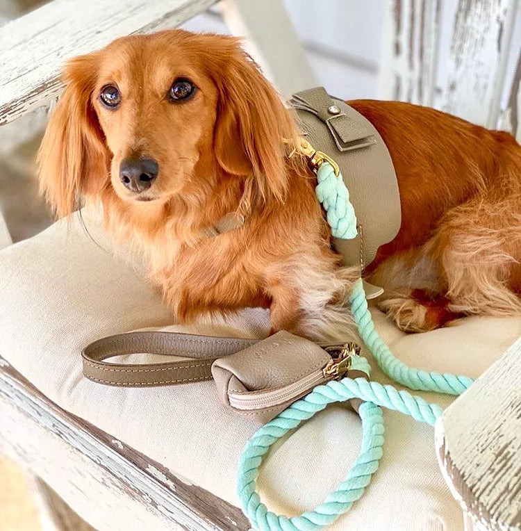 Dog Harness - Pet Supplies