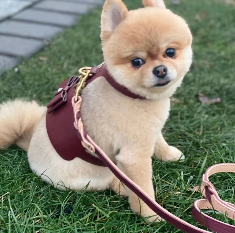 Dog Harness - Pet Supplies