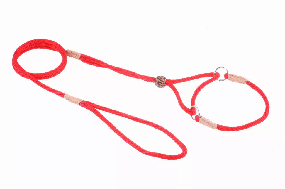 Red nylon martingale dog lead with braided loops and metal rings