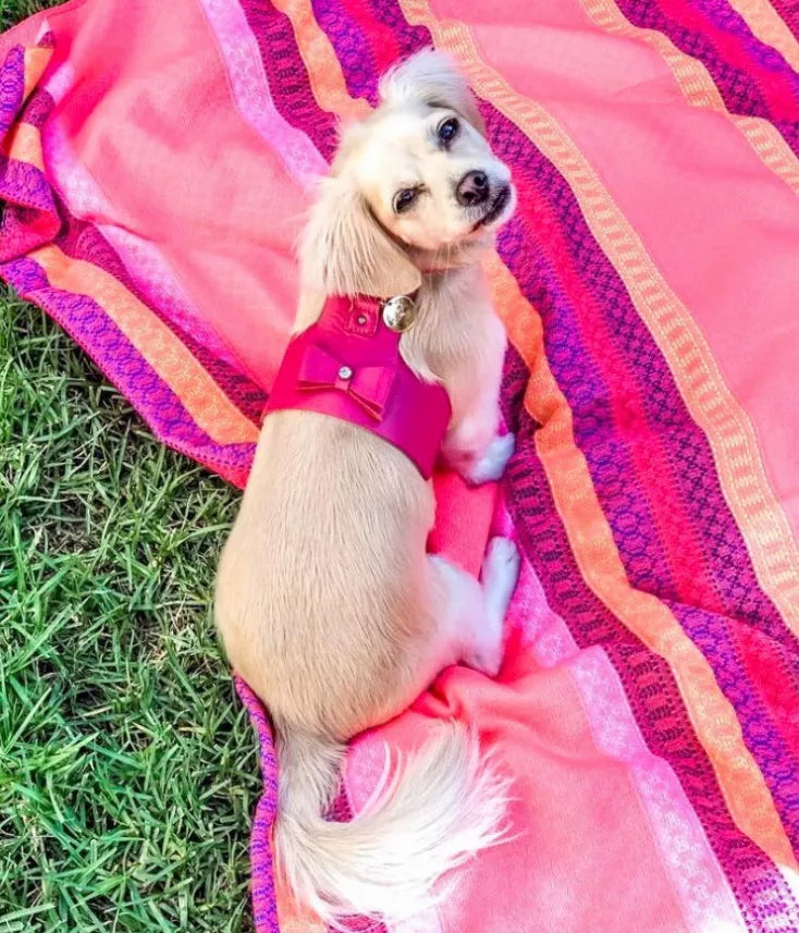 Dog Harness - Pet Supplies