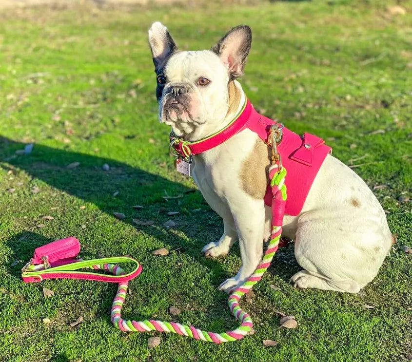 Dog Harness - Pet Supplies