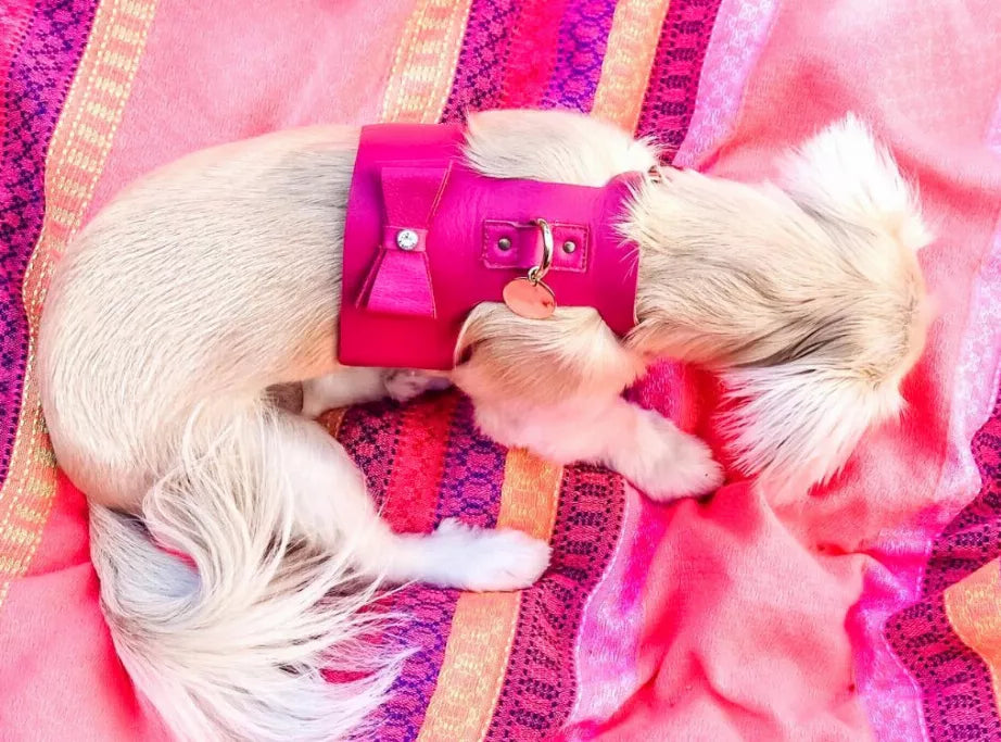 Dog Harness - Pet Supplies