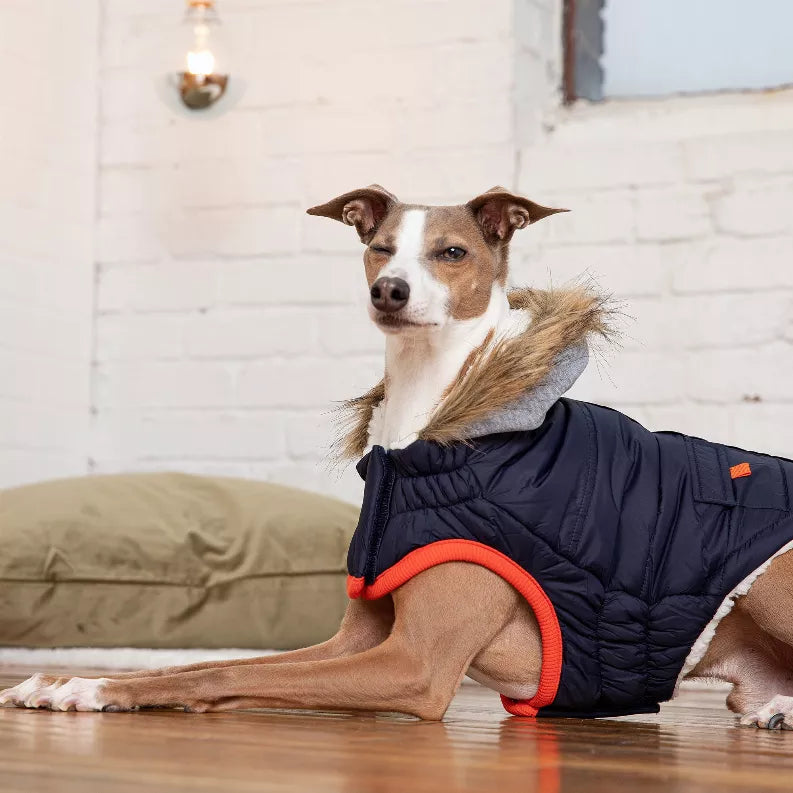 Dog winter parka in dark navy with gray faux-fur hood trim and red belly opening.