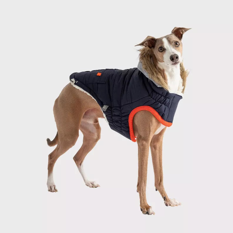 Navy dog puffer winter parka with gray fur hood, orange trim, and strap details