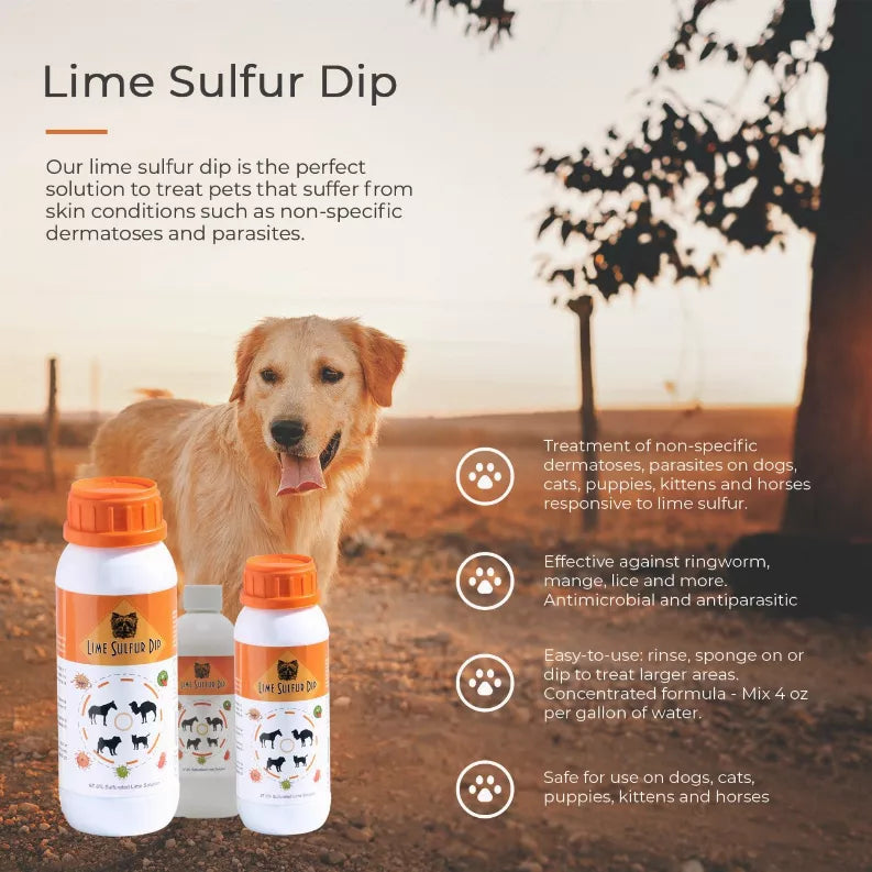 Lime sulfur dip solution bottles, two white bottles with orange caps in front of a dog