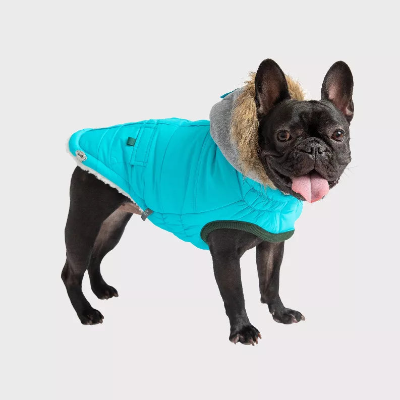 GF Pet winter sailor parka on a dog: turquoise quilted coat with gray fur-lined hood