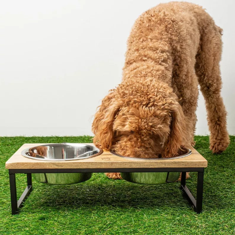 Elevated pet feeder with two stainless bowls on wood platform and black metal legs
