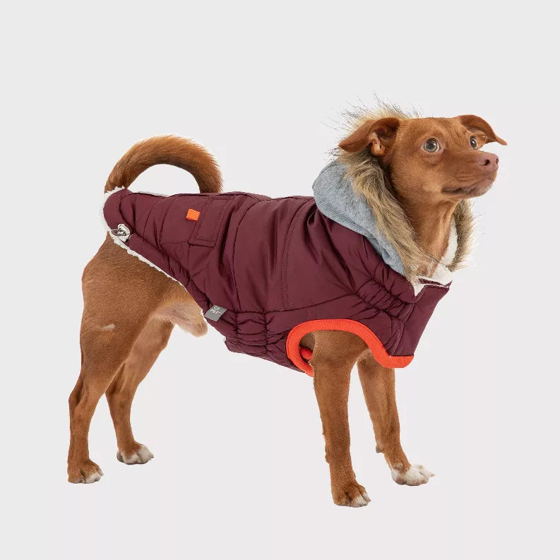 Maroon dog winter parka with gray hood trim, faux-fur edge, and orange underchest opening