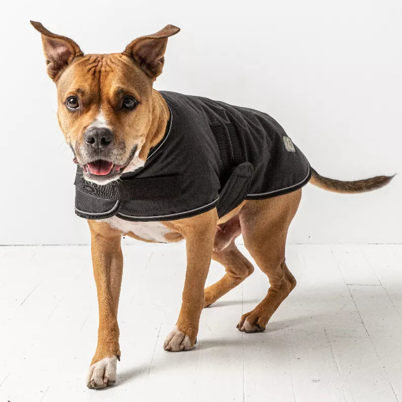 Dog blanket jacket in dark color with front leg opening and curved hem, logo patch on sleeve