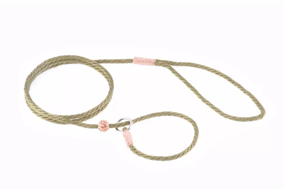 Alvalley Nylon Slip Lead With Stopper - Pet Supplies