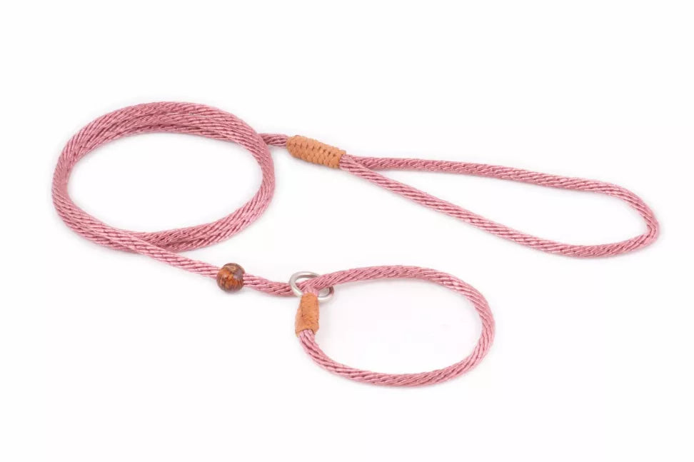 Alvalley Nylon Slip Lead With Stopper - Pet Supplies