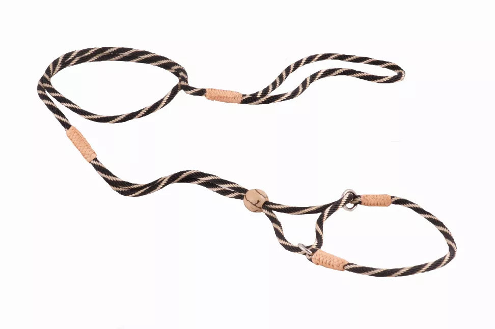 Alvalley Nylon Martingale Leads - Pet Supplies